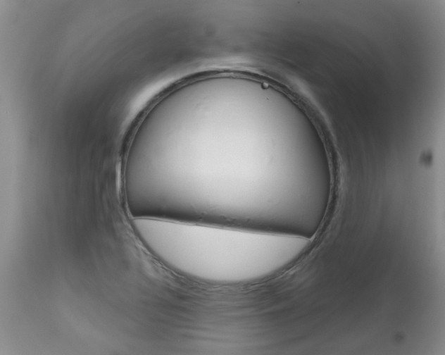 X0000112801320200908210953