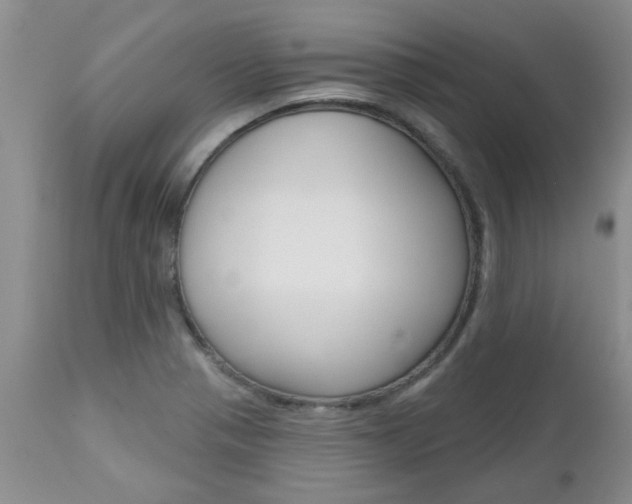 X0000112801321200908210953