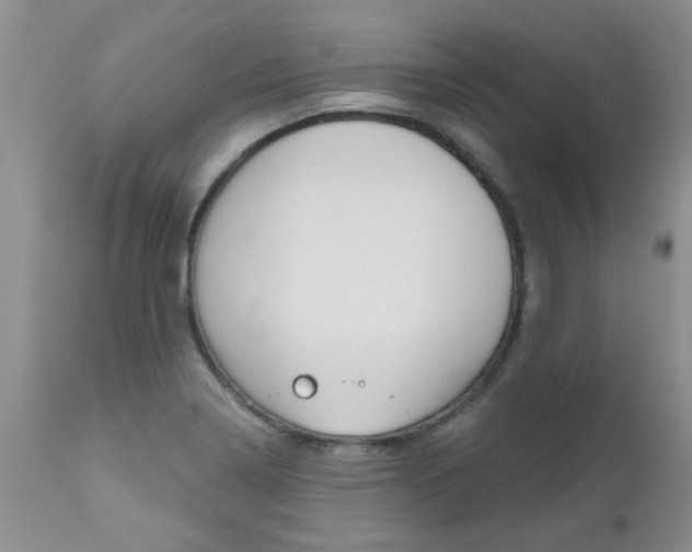 X0000112801322200908210953