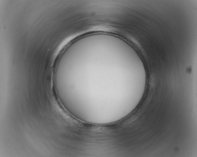 X0000112801323200908210953