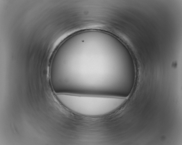 X0000112801324200908210953