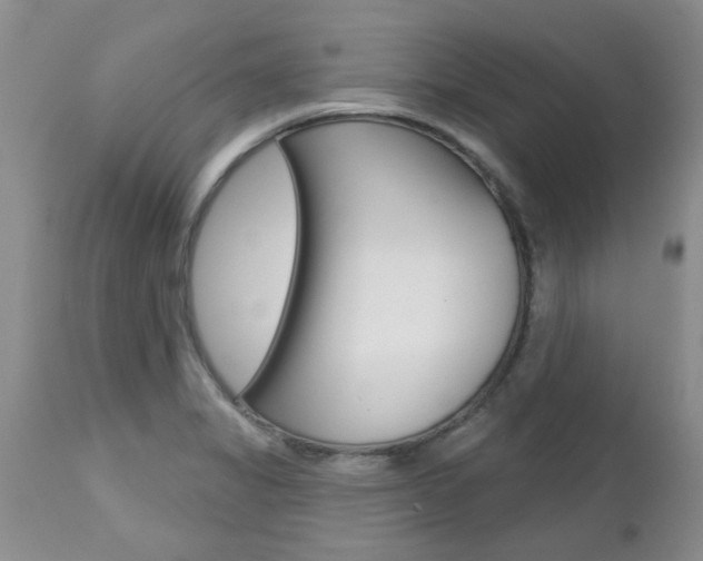 X0000112801325200908210953
