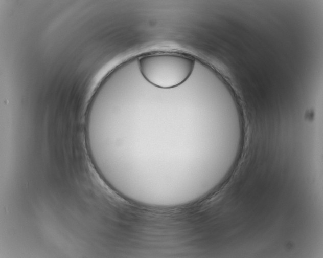 X0000112801326200908210953
