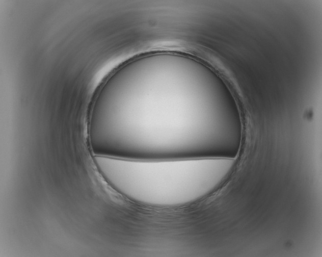 X0000112801328200908210953