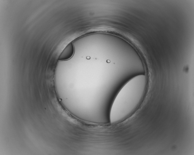 X0000112801329200908210954