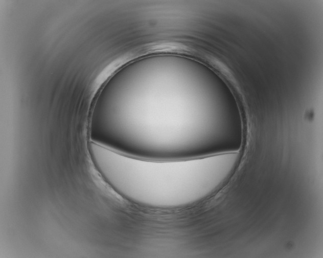 X0000112801330200908210954