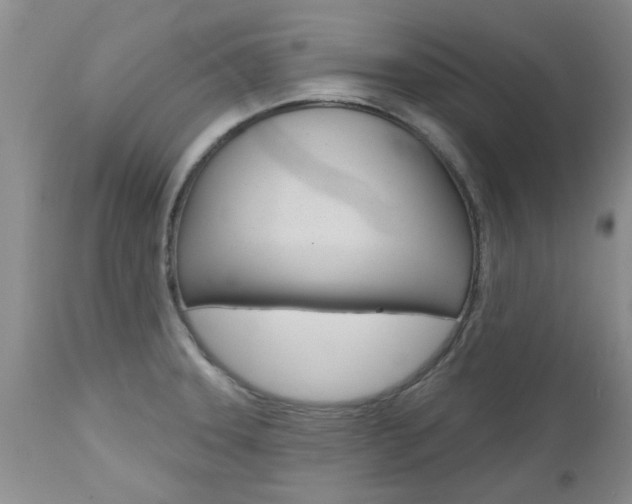 X0000112801331200908210954