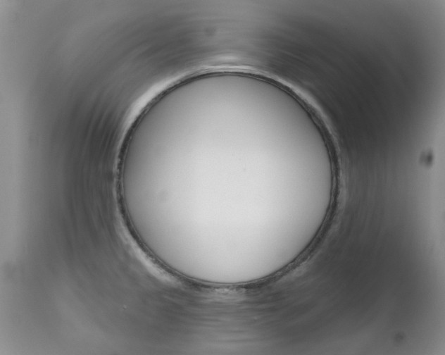 X0000112801333200908210954