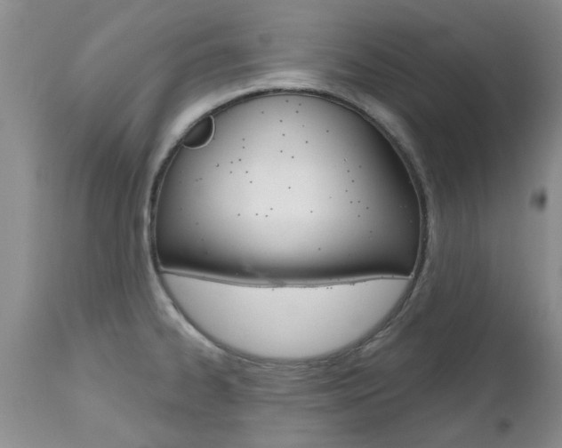 X0000112801334200908210954