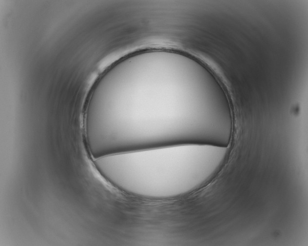 X0000112801335200908210954