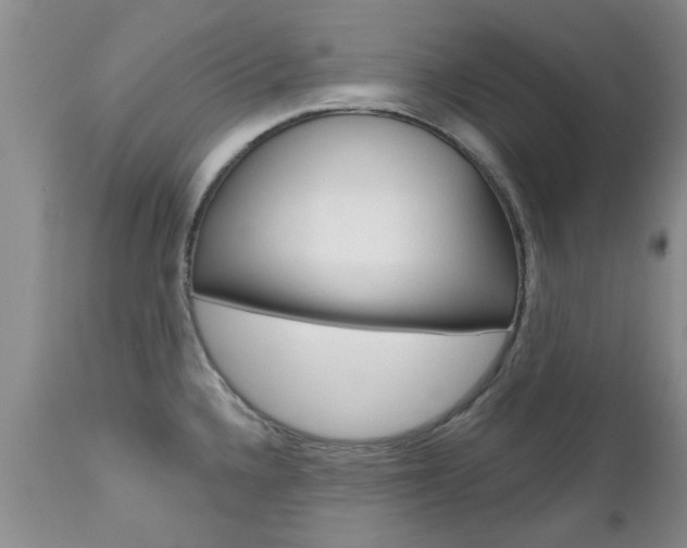 X0000112801336200908210954