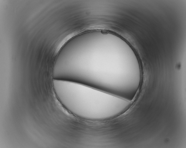 X0000112801337200908210954