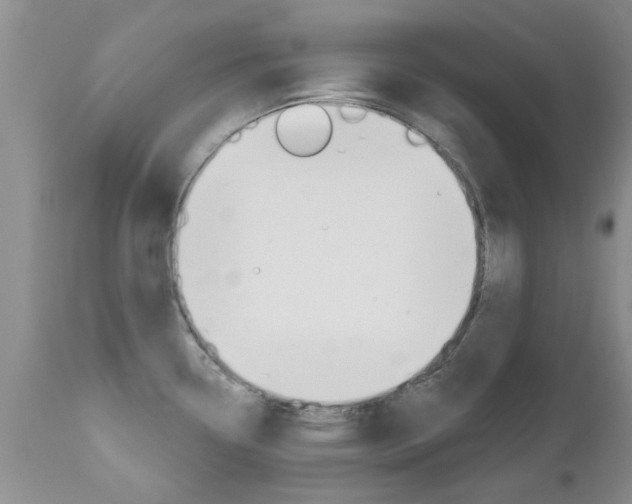 X0000112801338200908210954
