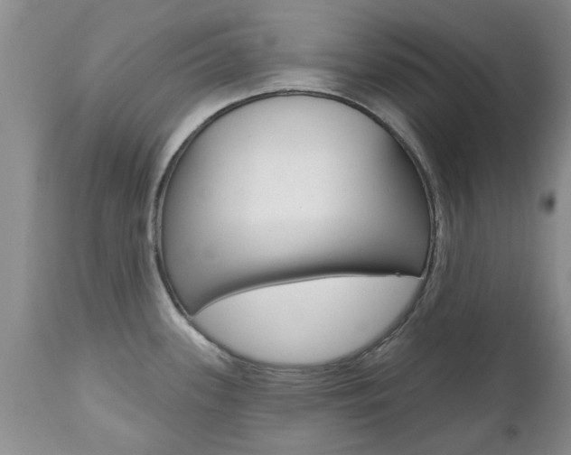 X0000112801339200908210954