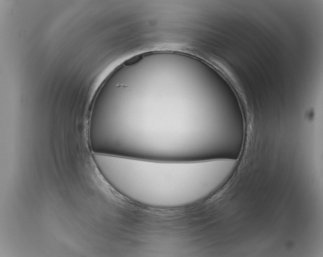 X0000112801340200908210954