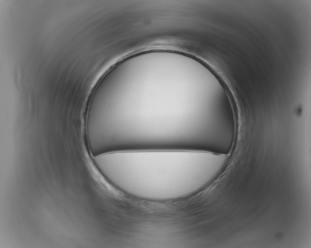 X0000112801341200908210954