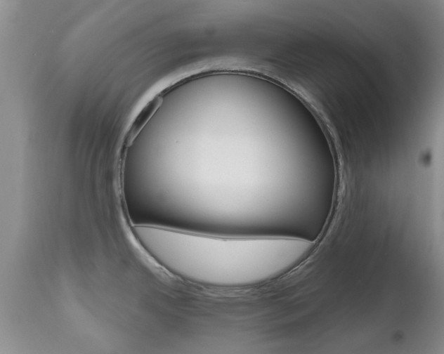 X0000112801342200908210954
