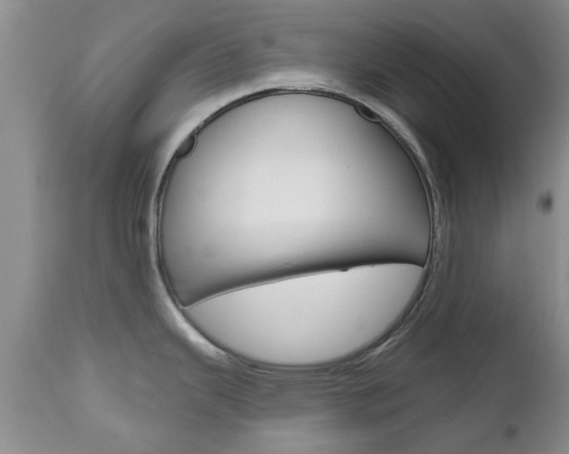 X0000112801343200908210954