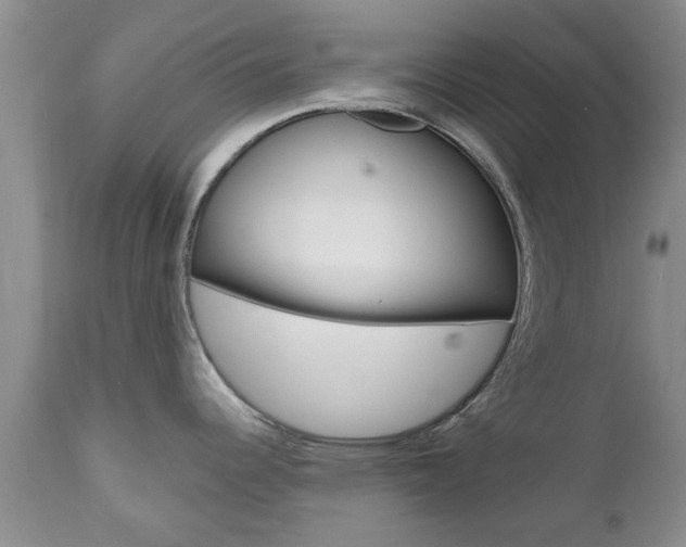 X0000112801344200908210954