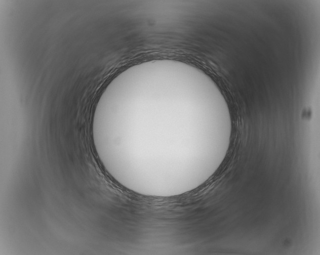 X0000112801345200908210953