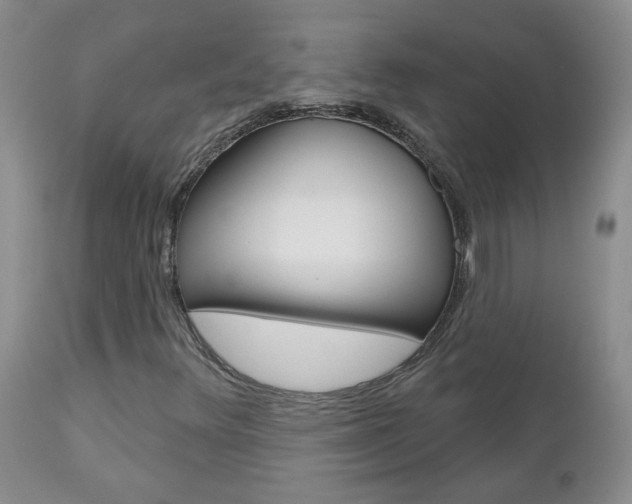 X0000112801348200908210953