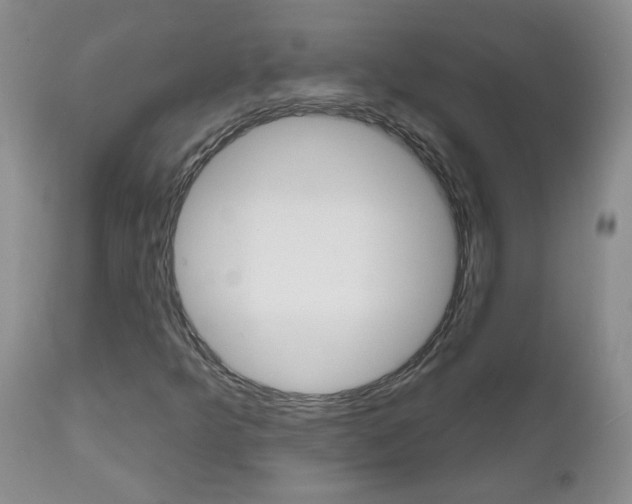 X0000112801349200908210953