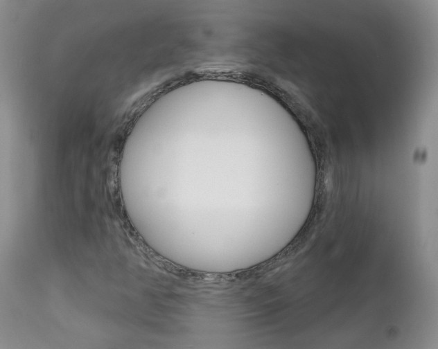 X0000112801350200908210953