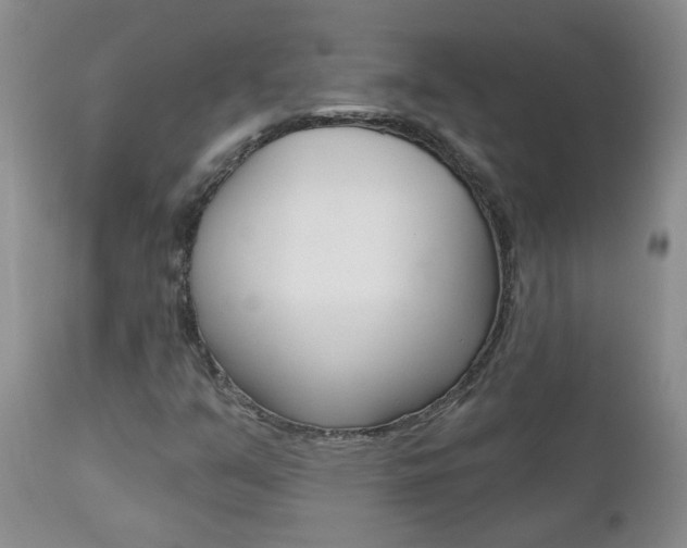 X0000112801351200908210953