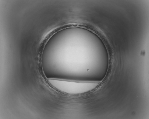 X0000112801352200908210953