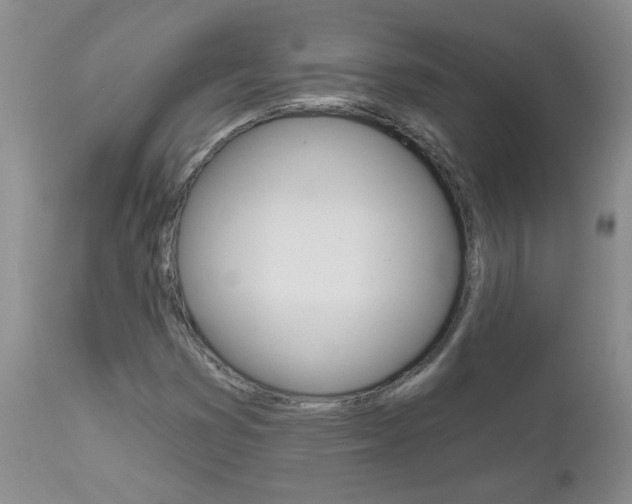 X0000112801353200908210953
