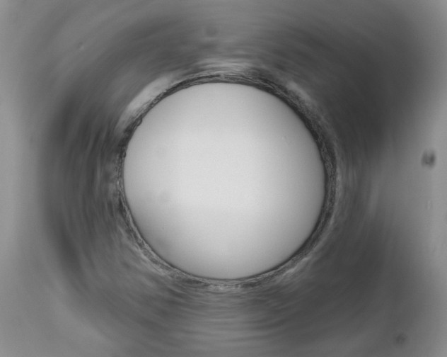 X0000112801354200908210953