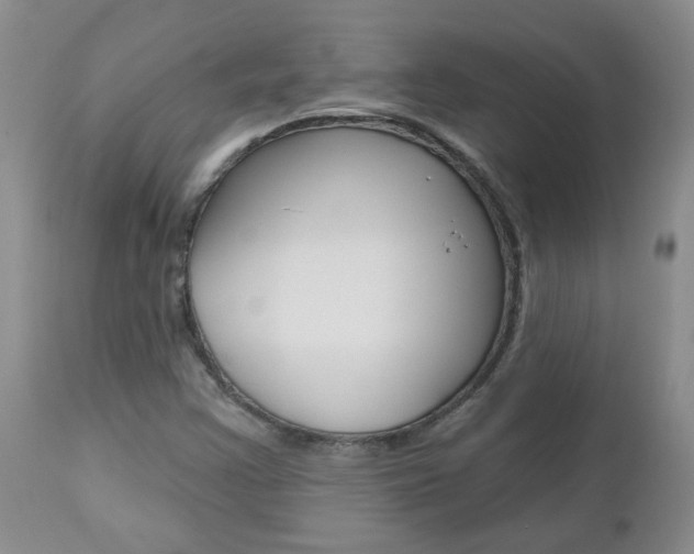 X0000112801355200908210953