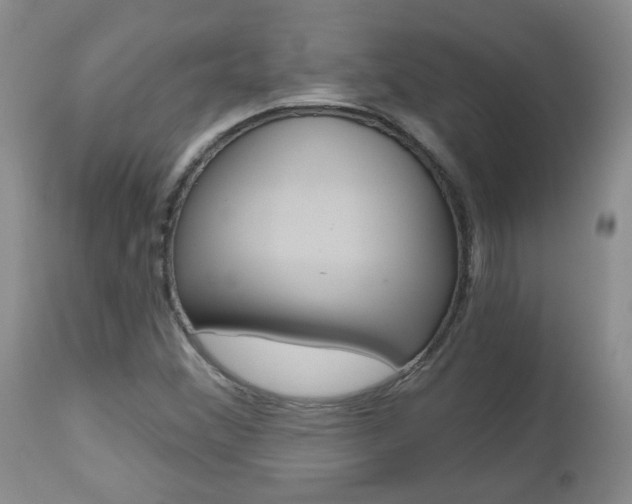 X0000112801356200908210953