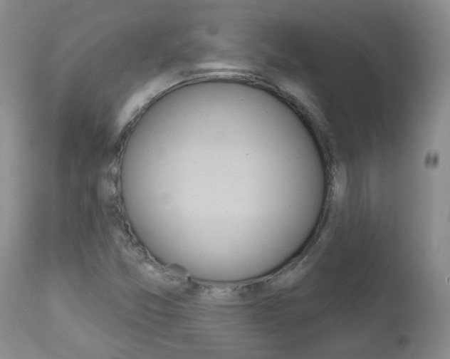 X0000112801357200908210953