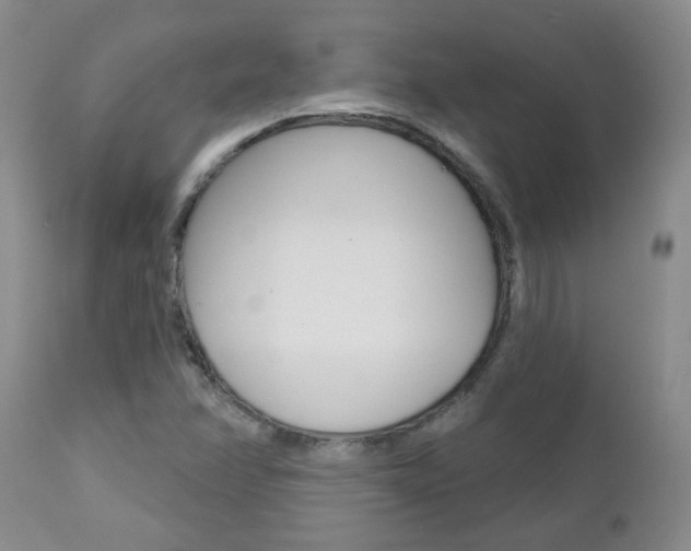 X0000112801358200908210953
