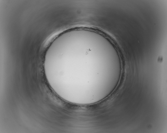 X0000112801359200908210953