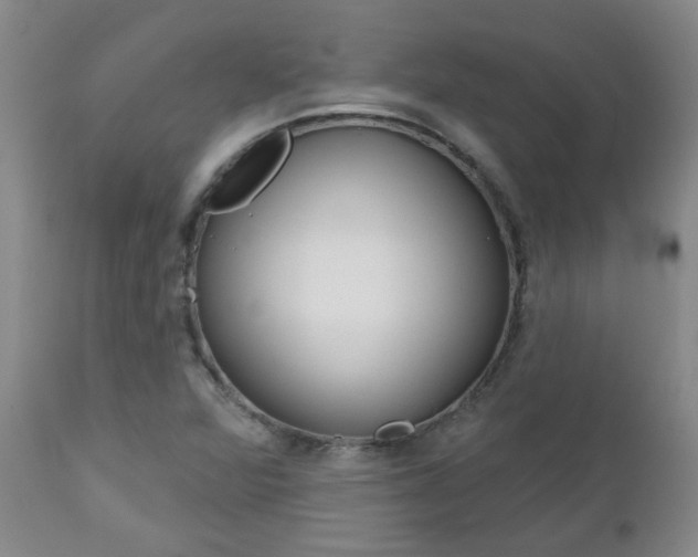 X0000112801360200908210953