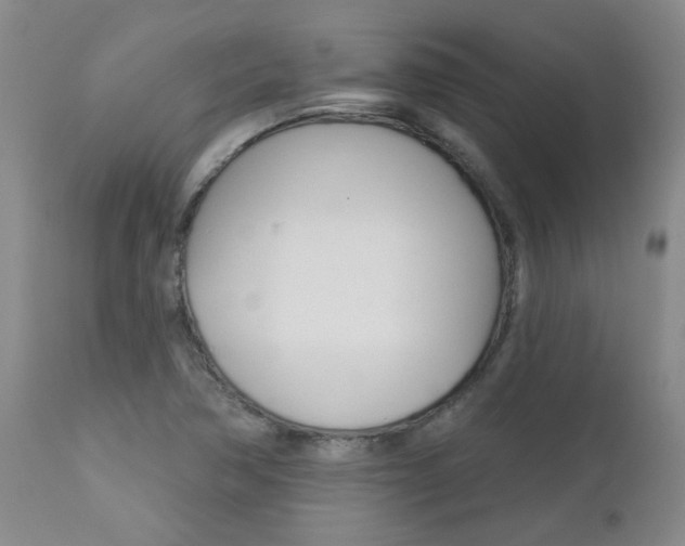 X0000112801362200908210953