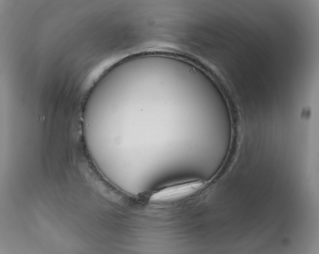 X0000112801363200908210953