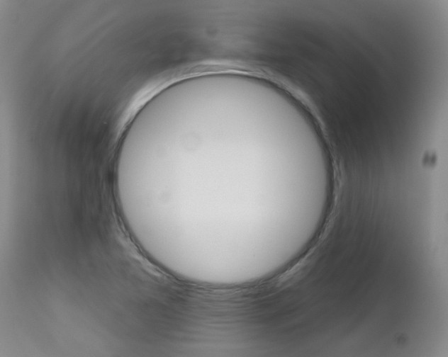 X0000112801365200908210953