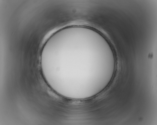 X0000112801366200908210953