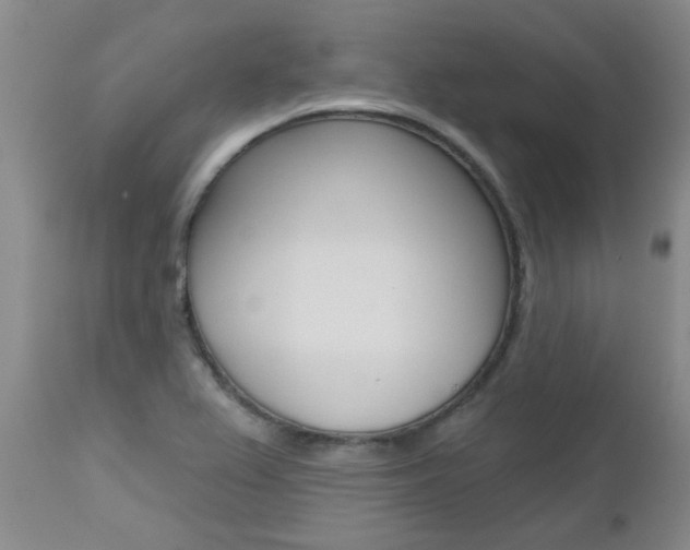 X0000112801367200908210953
