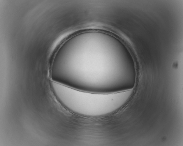 X0000112801368200908210953