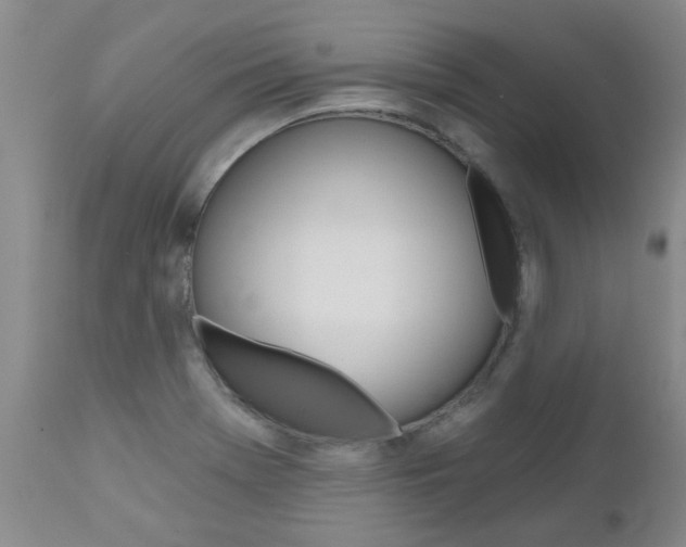 X0000112801369200908210953