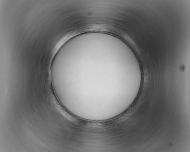 X0000112801370200908210953