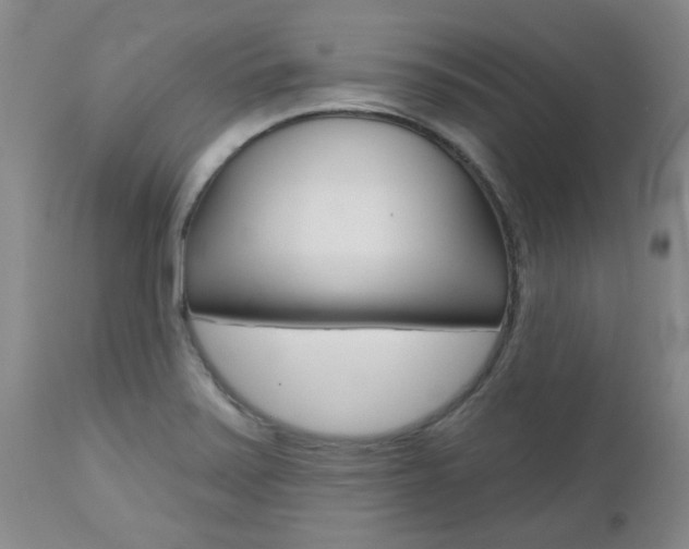 X0000112801371200908210953
