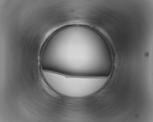 X0000112801372200908210953