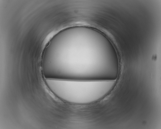X0000112801373200908210953