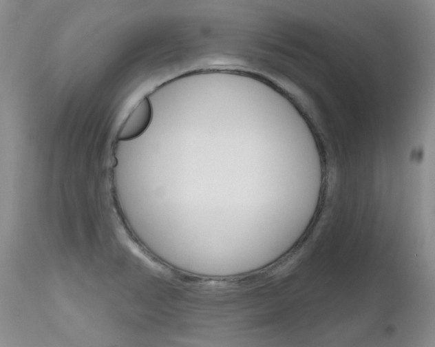 X0000112801374200908210953