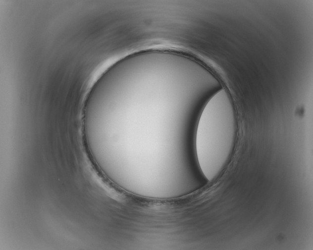 X0000112801375200908210953